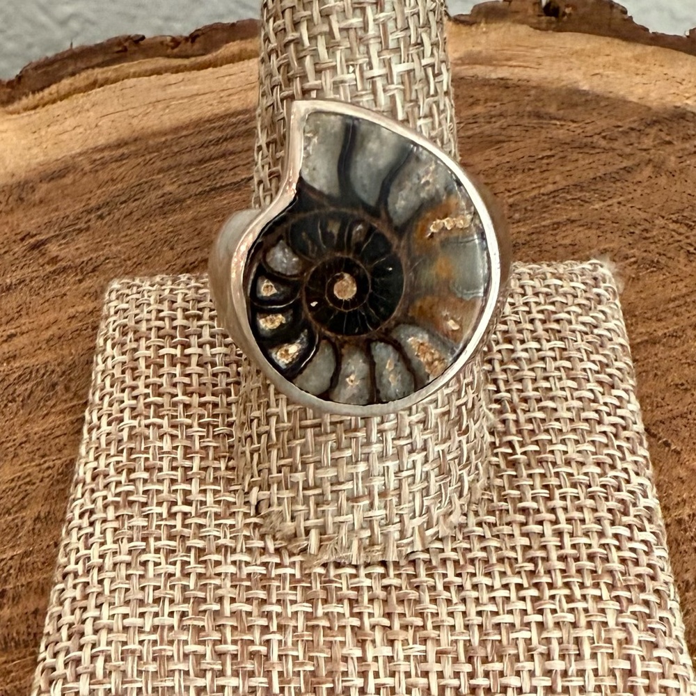 VGVC Ammonite Fossil Statement Ring in Gray, Brown and Black Women’s Size 10